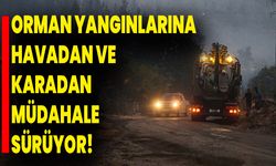 Orman Yangınlarına Havadan Ve Karadan Müdahale Sürüyor!