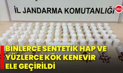 Binlerce Sentetik Hap ve Yüzlerce Kök Kenevir Ele Geçirildi