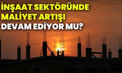 İnşaat sektöründe maliyet artışı devam ediyor mu?