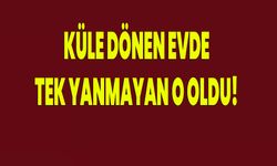 Küle dönen evde tek yanmayan o oldu