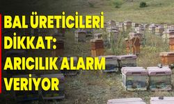 Bal Üreticileri Dikkat: Arıcılık Alarm Veriyor