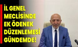 İl Genel Meclisinde Ek Ödenek Düzenlemesi Gündemde!