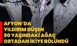 Afyon’da Yıldırım düşen 50 yaşındaki ağaç ortadan ikiye bölündü