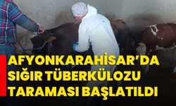 Afyonkarahisar’da sığır tüberkülozu taraması başlatıldı