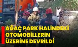Ağaç park halindeki otomobillerin üzerine devrildi