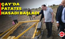Çay’da Patates Hasadı Başladı