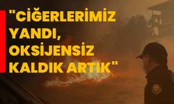 "Ciğerlerimiz yandı, oksijensiz kaldık artık"
