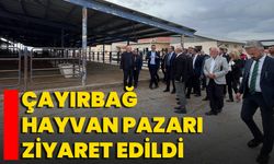 Çayırbağ Hayvan Pazarı Ziyaret Edildi