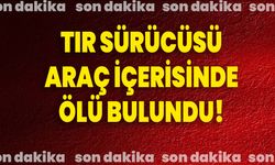 Tır Sürücüsü Araç İçerisinde Ölü Bulundu!