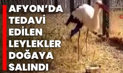 Afyon’da Tedavi Edilen Leylekler Doğaya Salındı