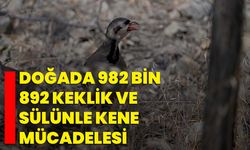 Doğada 982 bin 892 keklik ve sülünle kene mücadelesi