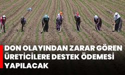 Don olayından zarar gören üreticilere destek ödemesi yapılacak