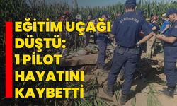 Eğitim uçağı düştü: 1 pilot hayatını kaybetti