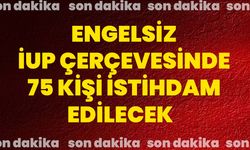 Engelsiz İUP çerçevesinde 75 kişi istihdam edilecek