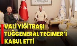 Vali Yiğitbaşı, Tuğgeneral Tecimer’i Kabul Etti