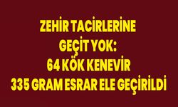 Zehir Tacirlerine Geçit Yok: 64 Kök Kenevir, 335 Gram Esrar Ele Geçirildi