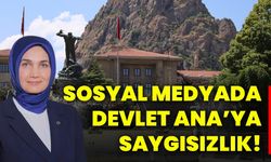 Sosyal Medyada Devlet Ana'ya Saygısızlık!