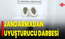 Jandarmadan Uyuşturucu Darbesi