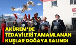 AKÜREM’de Tedavileri Tamamlanan Kuşlar Doğaya Salındı