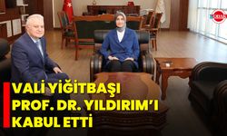 Vali Yiğitbaşı, Prof. Dr. Yıldırım’ı Kabul Etti