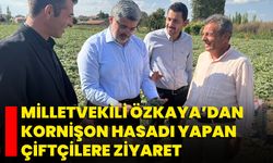 Milletvekili Özkaya’dan Kornişon Hasadı Yapan Çiftçilere Ziyaret