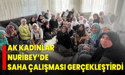 AK Kadınlar Nuribey’de saha çalışması gerçekleştirdi
