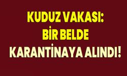 Kuduz Vakası: Bir Belde Karantinaya Alındı!