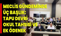 Meclis Gündeminde Üç Başlık: Tapu Devri, Okul Tahsisi ve Ek Ödenek