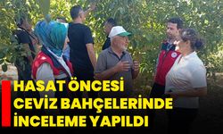Hasat öncesi ceviz bahçelerinde inceleme yapıldı