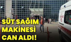 Süt sağım makinesi can aldı!