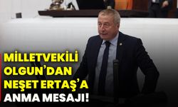 Milletvekili Olgun’dan Neşet Ertaş’a anma mesajı!