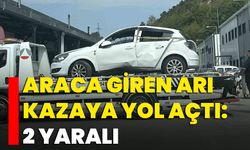 Araca Giren Arı Kazaya Yol Açtı: 2 Yaralı