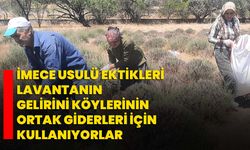 İmece usulü ektikleri lavantanın gelirini köylerinin ortak giderleri için kullanıyorlar