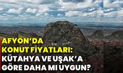 Afyonkarahisar’da konut fiyatları: Kütahya ve Uşak’a göre daha mı uygun?
