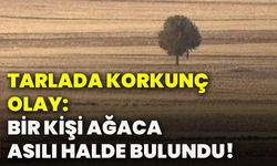 Tarlada korkunç olay: Bir kişi ağaca asılı halde bulundu!