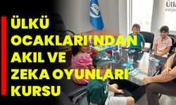 Ülkü Ocakları’ndan Akıl ve Zeka Oyunları Kursu