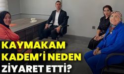 Kaymakam KADEM’i neden ziyaret etti?