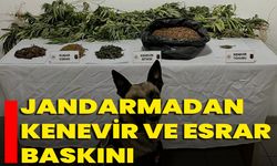 Jandarmadan Kenevir Ve Esrar Baskını