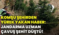 Komşu şehirden yürek yakan haber: Jandarma Uzman Çavuş şehit düştü!
