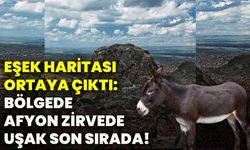 Eşek haritası ortaya çıktı: Bölgede Afyon zirvede, Uşak son sırada!