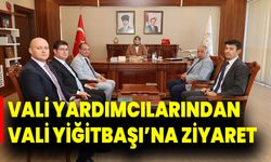 Vali Yardımcılarından Vali Yiğitbaşı’na Ziyaret