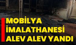 Mobilya imalathanesi alev alev yandı