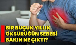 Bir Buçuk Yıllık Öksürüğün Sebebi Bakın Ne Çıktı?