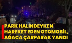 Park Halindeyken Hareket Eden Otomobil, Ağaca Çarparak Yandı