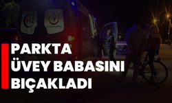 Parkta üvey babasını bıçakladı