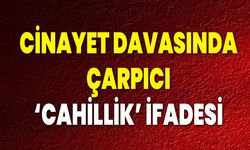 Cinayet Davasında Çarpıcı ‘Cahillik’ İfadesi