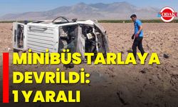 Minibüs Tarlaya Devrildi: 1 Yaralı