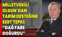 Milletvekili Olgun’dan Tarım Desteğine Sert Tepki: “Dağ Fare Doğurdu”