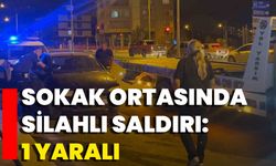 Sokak Ortasında Silahlı Saldırı: 1 Yaralı