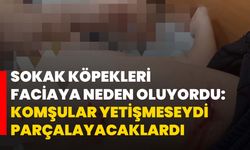 Sokak köpekleri faciaya neden oluyordu: Komşular yetişmeseydi parçalayacaklardı